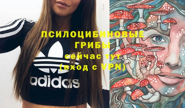 а пвп мука Протвино