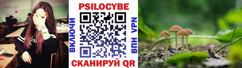 Купить закладки  Светлоград  Псилоцибиновые грибы Magic Shrooms 